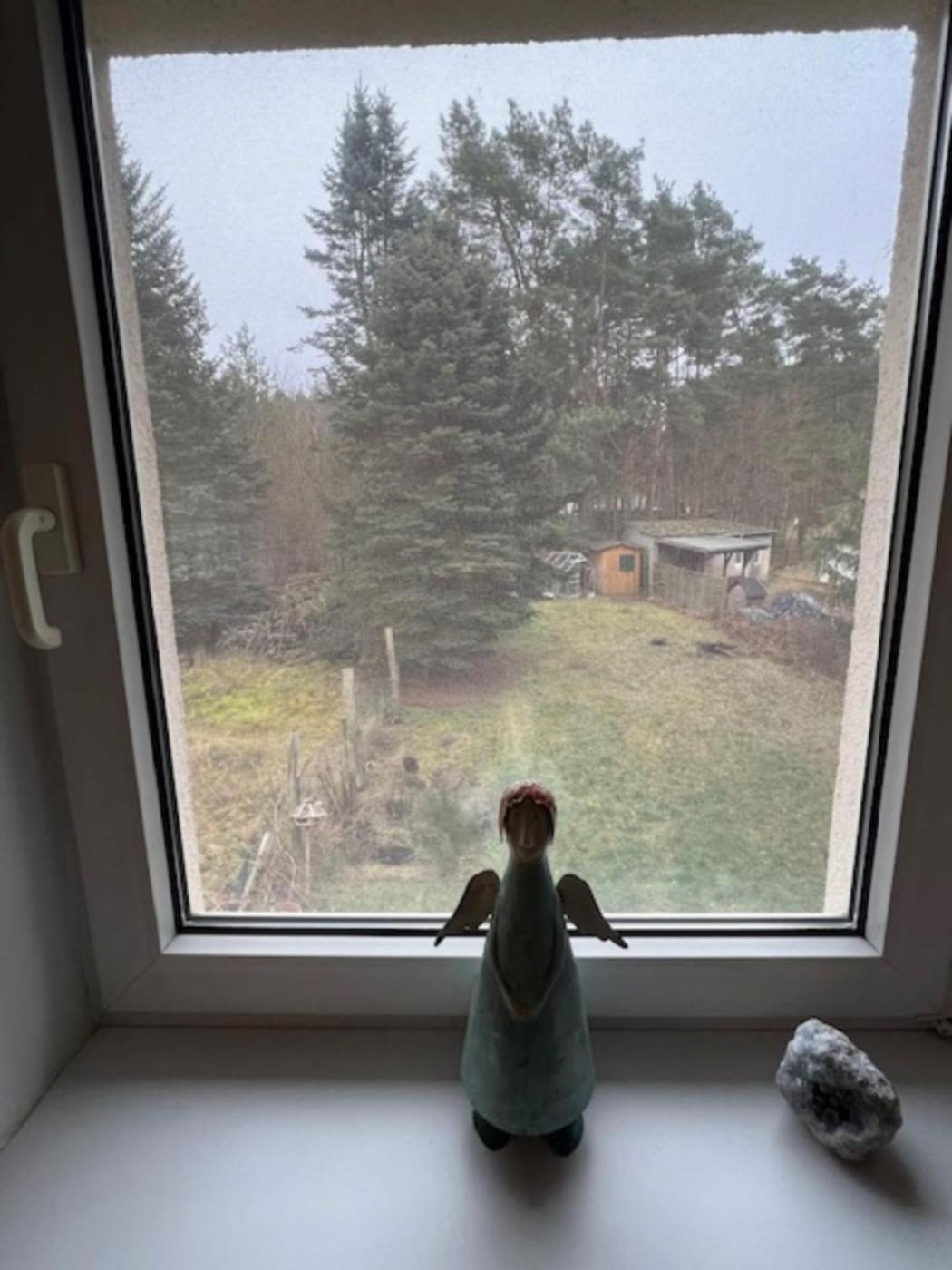 Ferienappartements Am See ショルフハイデ エクステリア 写真